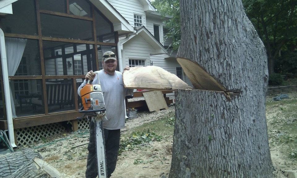 Southern Classic Tree Experts Services