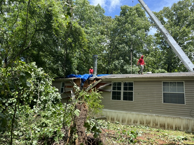Emergency tree removal crew handling a fallen tree